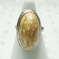 Petrified Dinosaur Egg Specimen Ring