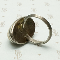 Petrified Dinosaur Egg Specimen Ring