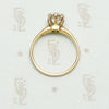 The Old Mine Cut Diamond Solitaire
