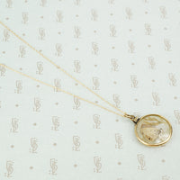 tiny moth specimen in crystal pendant