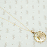 tiny moth specimen in crystal pendant