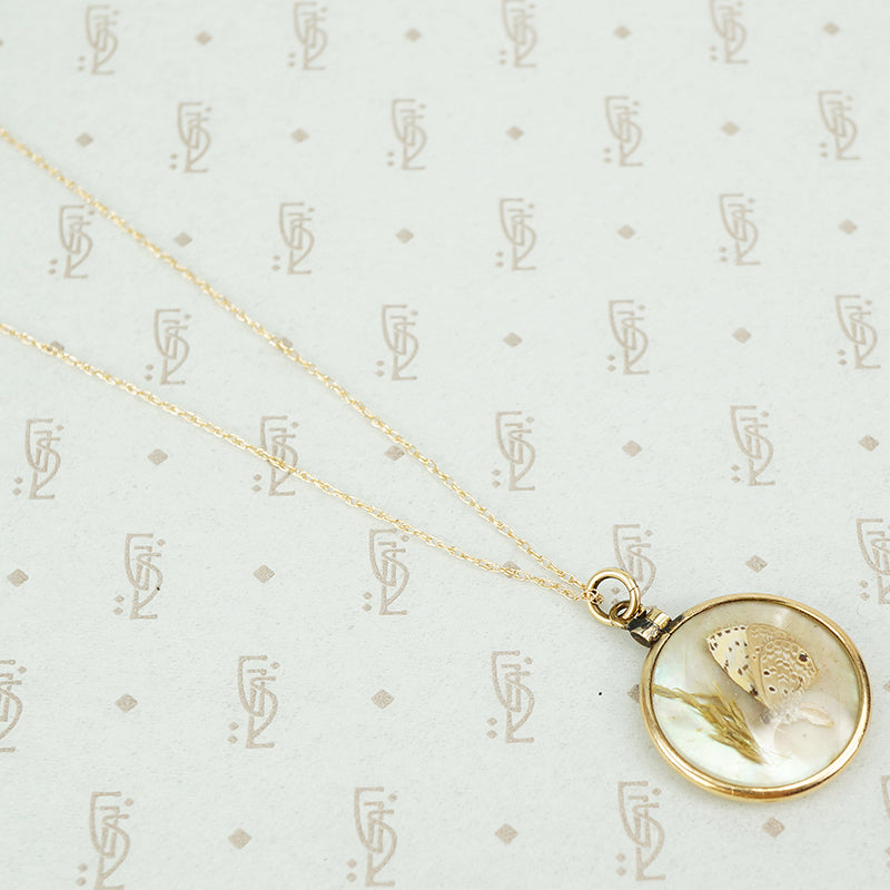 tiny moth specimen in crystal pendant
