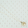 tiny moth specimen in crystal pendant