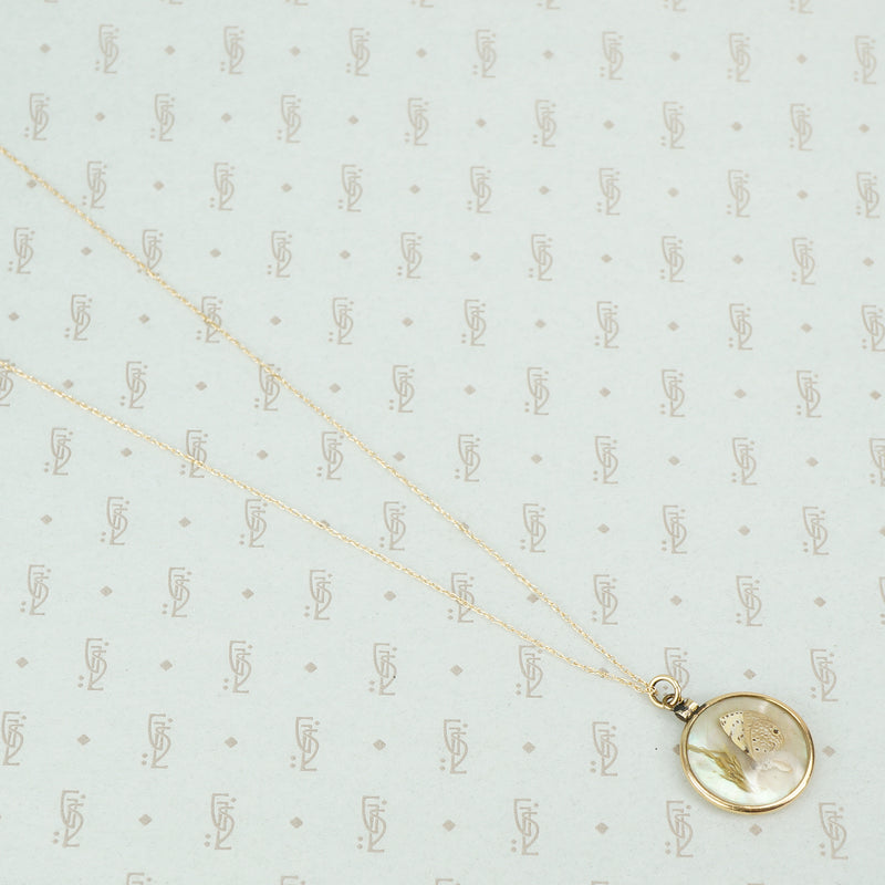 tiny moth specimen in crystal pendant