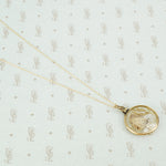 tiny moth specimen in crystal pendant