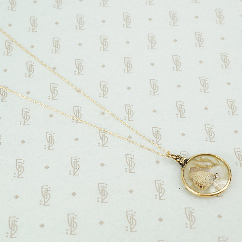 tiny moth specimen in crystal pendant